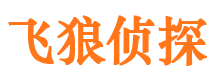 烈山婚外情调查取证